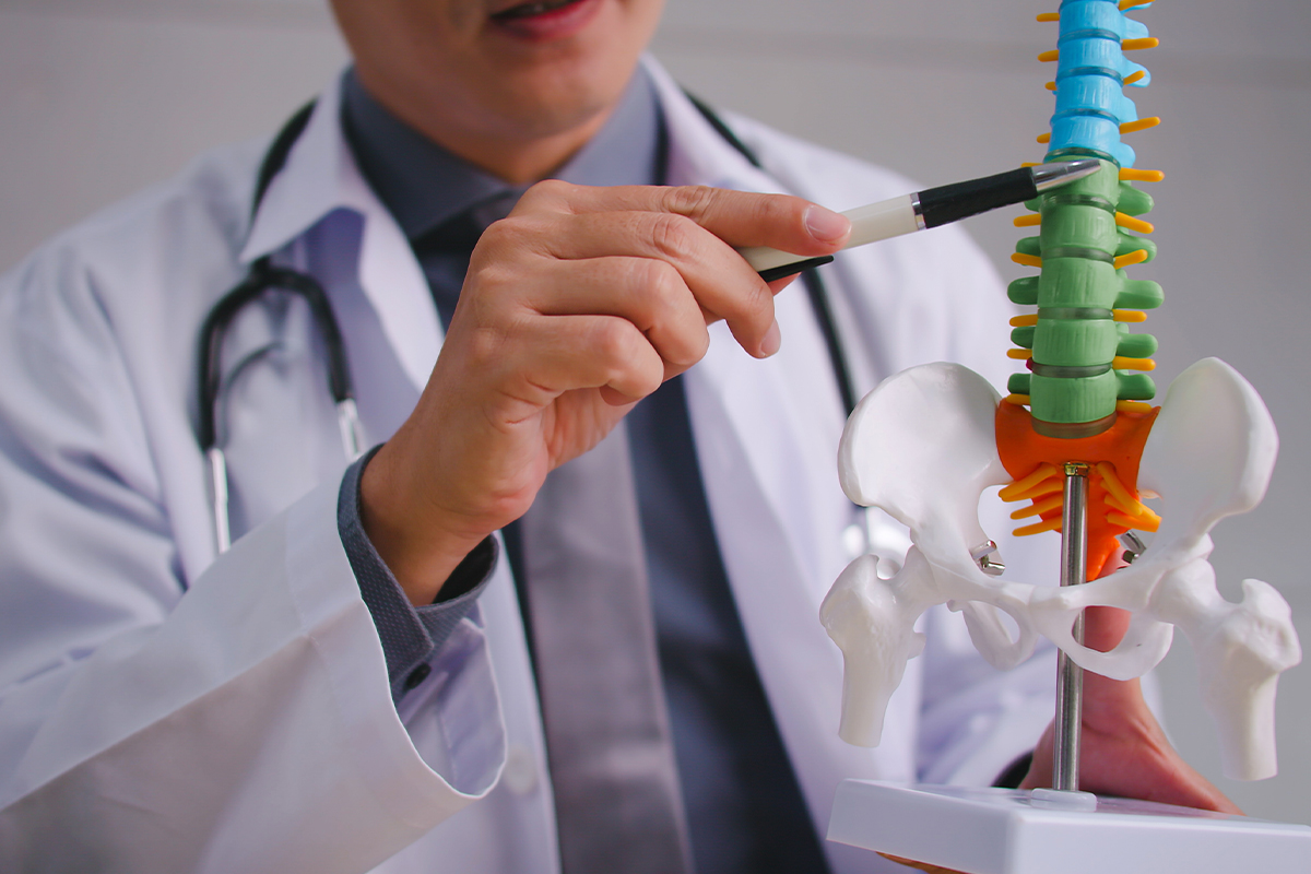 Discover what chiropractic care really does and how it can alleviate your pain naturally without medication or invasive treatments